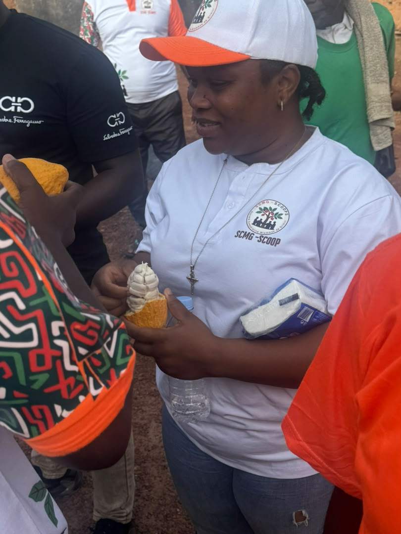 Femmes du cacao