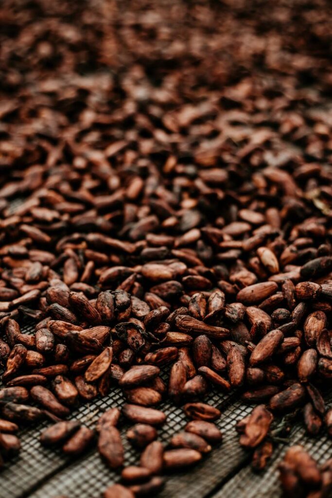 Close-up of organic cocoa beans drying outdoors in Davao City, Philippines.