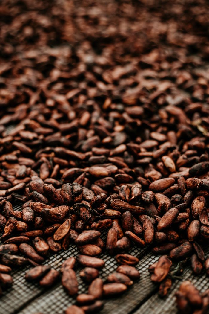 Crafting Captivating Headlines: Your awesome post title goes here Close-up of organic cocoa beans drying outdoors in Davao City, Philippines.